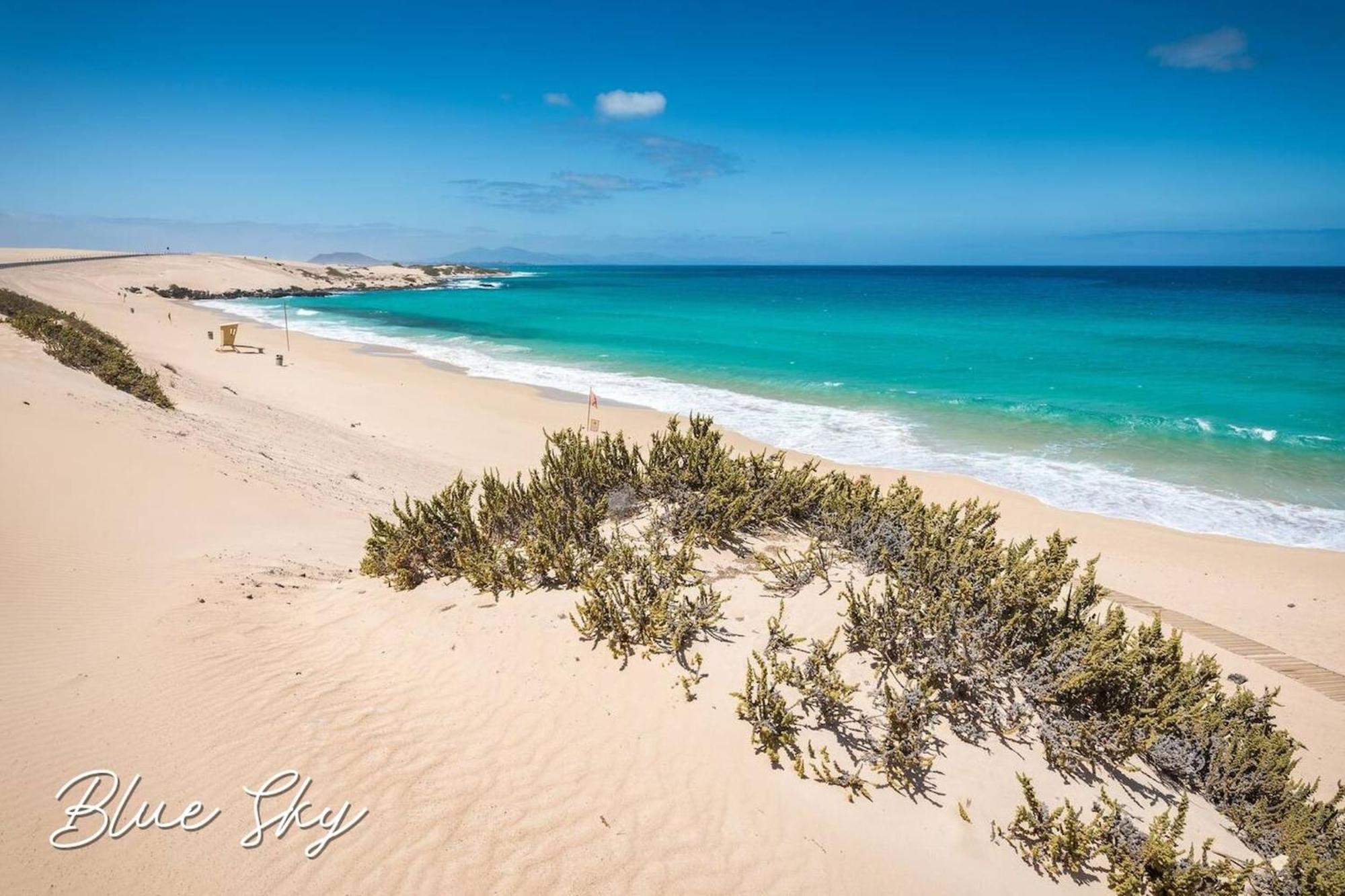 Corralejo Sun 335 Blue Sky By Rentalfue Экстерьер фото